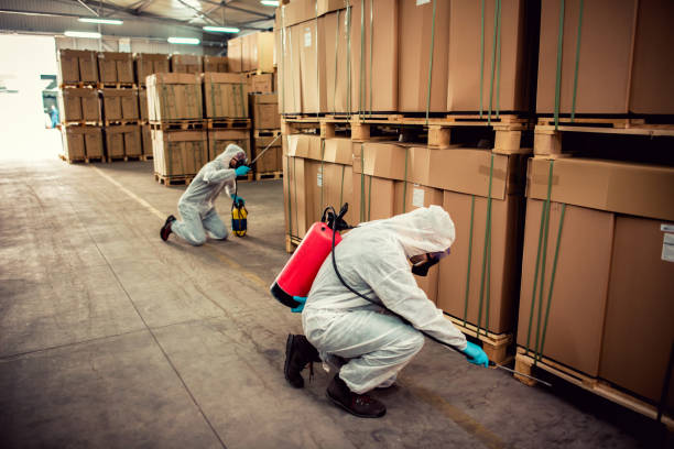 Best Emergency Pest Control  in Minneapolis, MN