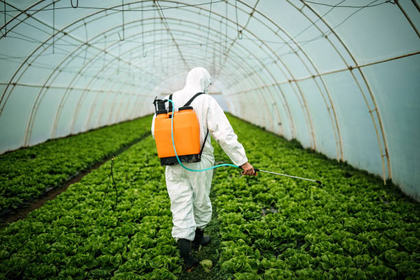 Best Best Pest Control Companies  in Minneapolis, MN