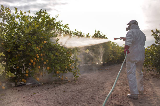 Best Termite Control Services  in Minneapolis, MN