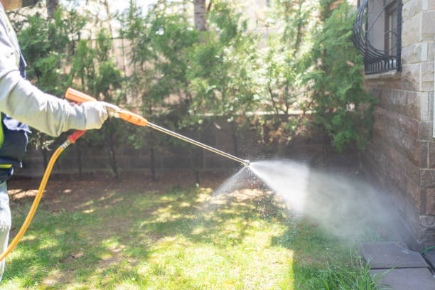 Best Pest Control for Businesses  in Minneapolis, MN