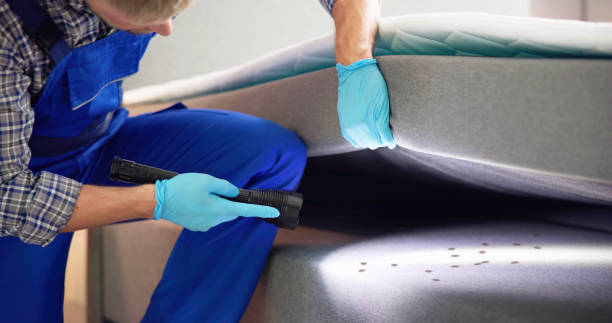 Best Rat Extermination Near Me  in Minneapolis, MN