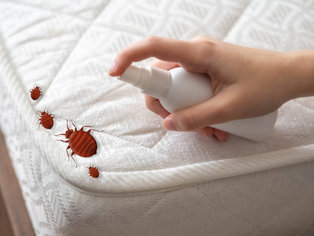 Professional Pest Control in Minneapolis, MN
