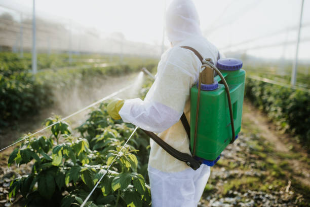 Best Pest Inspection Near Me  in Minneapolis, MN